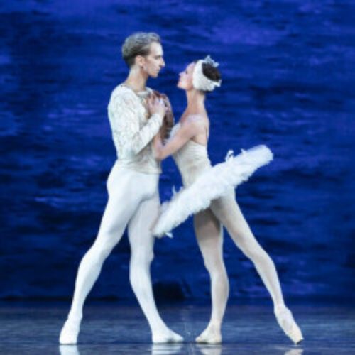 Afisha Club: Лебединое озеро в Краснодаре 11 апреля 2026