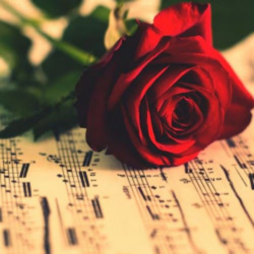 Afisha Club: Аб. №7. Музыкальная мансарда: Н. Палванова в Нижнем Новгороде 23 апреля 2026