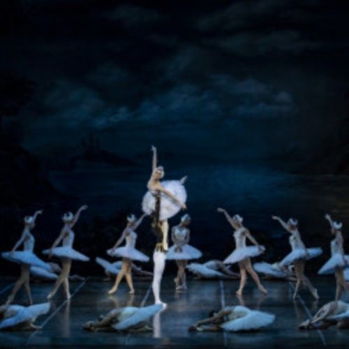 Afisha Club: Лебединое озеро в Самаре 28 апреля 2026