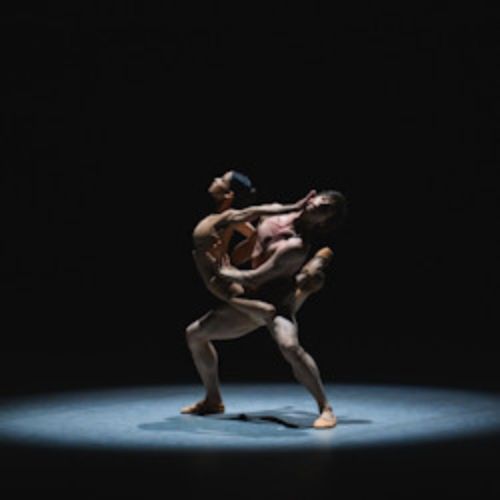 Afisha Club: Гала-концерт в Сочи 2 августа 2026