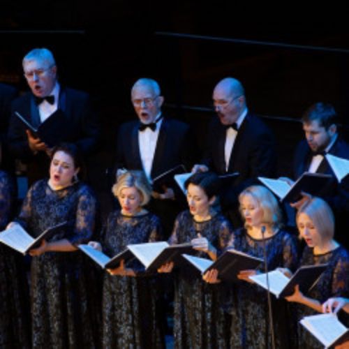 Afisha Club: Финист – ясный сокол в Новосибирске 11 июня 2026