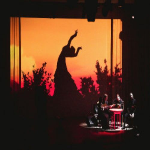 Afisha Club: Кармен. Фламенко в Санкте-Петербург 19 июня 2026