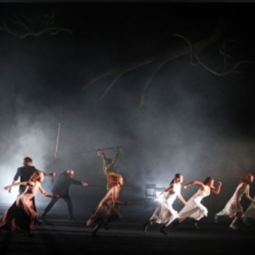 Afisha Club: Король-олень в Томске 2 июня 2026