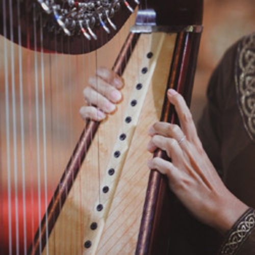 Afisha Club: Кельтские легенды: кельтская арфа и норвежская скрипка в Москве 30 мая 2026