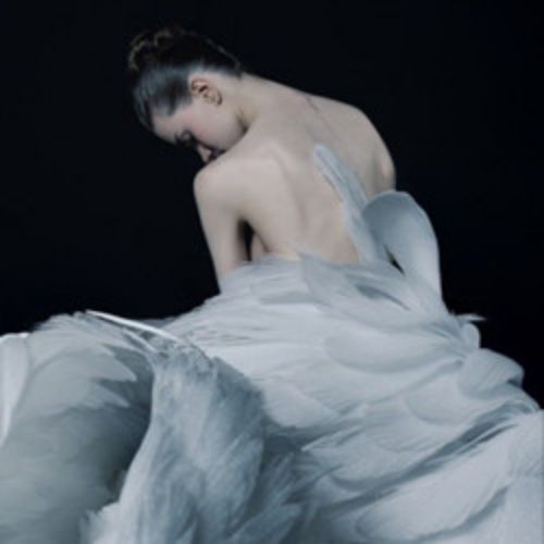 Afisha Club: Лебединое озеро в Нижнем Новгороде 21 мая 2026