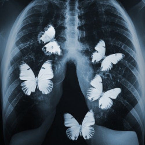 Afisha Club: Дама с собачкой в Новосибирске 12 мая 2026