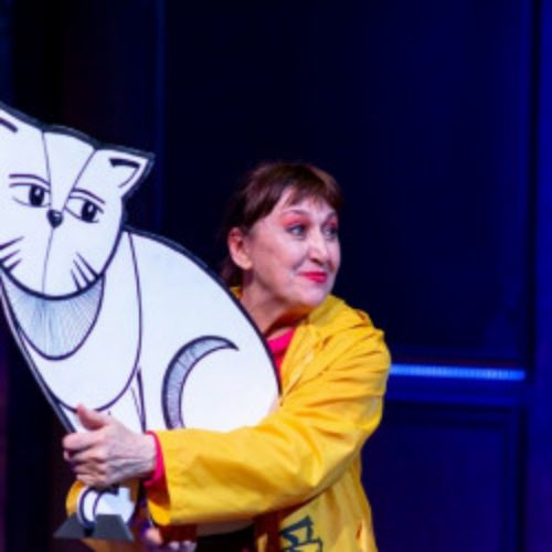 Afisha Club: Собака, которая была кошкой в Перми 24 мая 2026