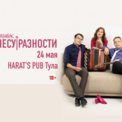 Afisha Club: Карабас и Несуразности. Акустика в Туле 24 мая 2026