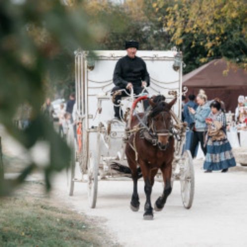 Afisha Club: Фестиваль «Дворянской охоты» в Липецке 27 сентября 2026